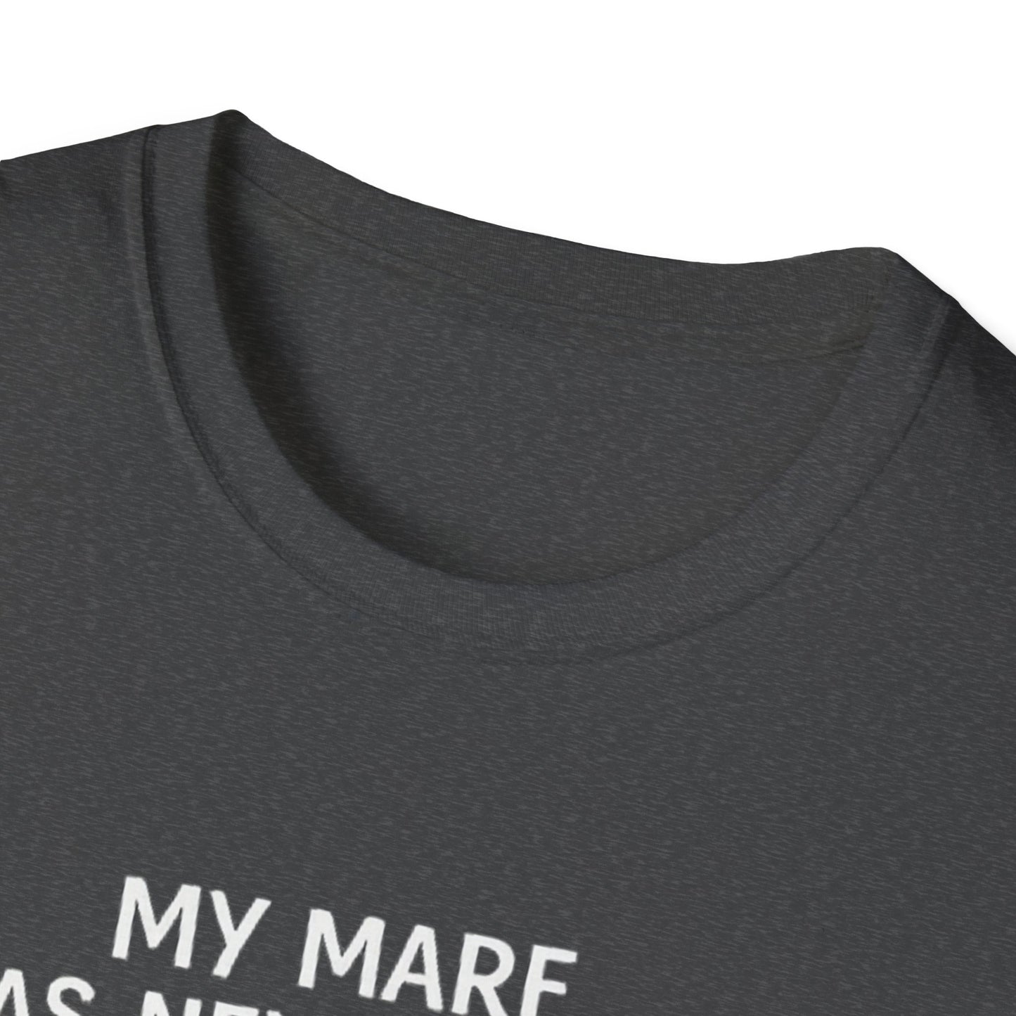 WeBeHorseGirls My Mare Has Never Done One Thing Wrong. My Gelding Has a Warrant in Three Counties T-Shirt