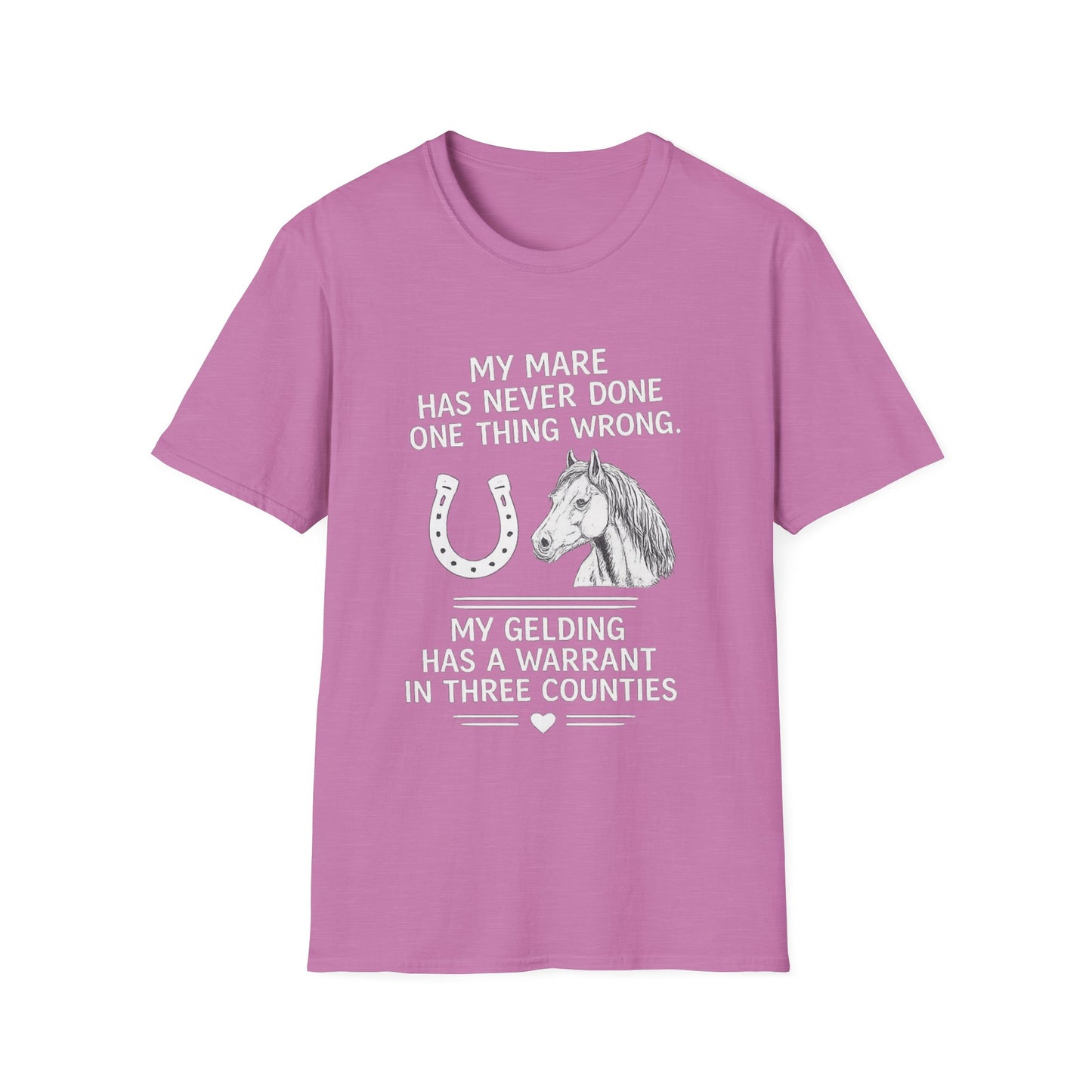 WeBeHorseGirls My Mare Has Never Done One Thing Wrong. My Gelding Has a Warrant in Three Counties T-Shirt