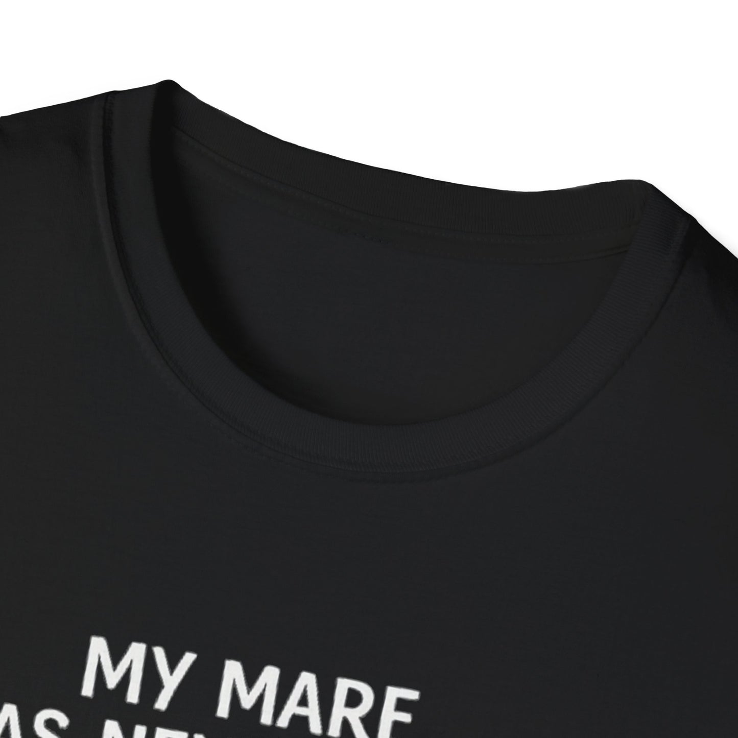 WeBeHorseGirls My Mare Has Never Done One Thing Wrong. My Gelding Has a Warrant in Three Counties T-Shirt