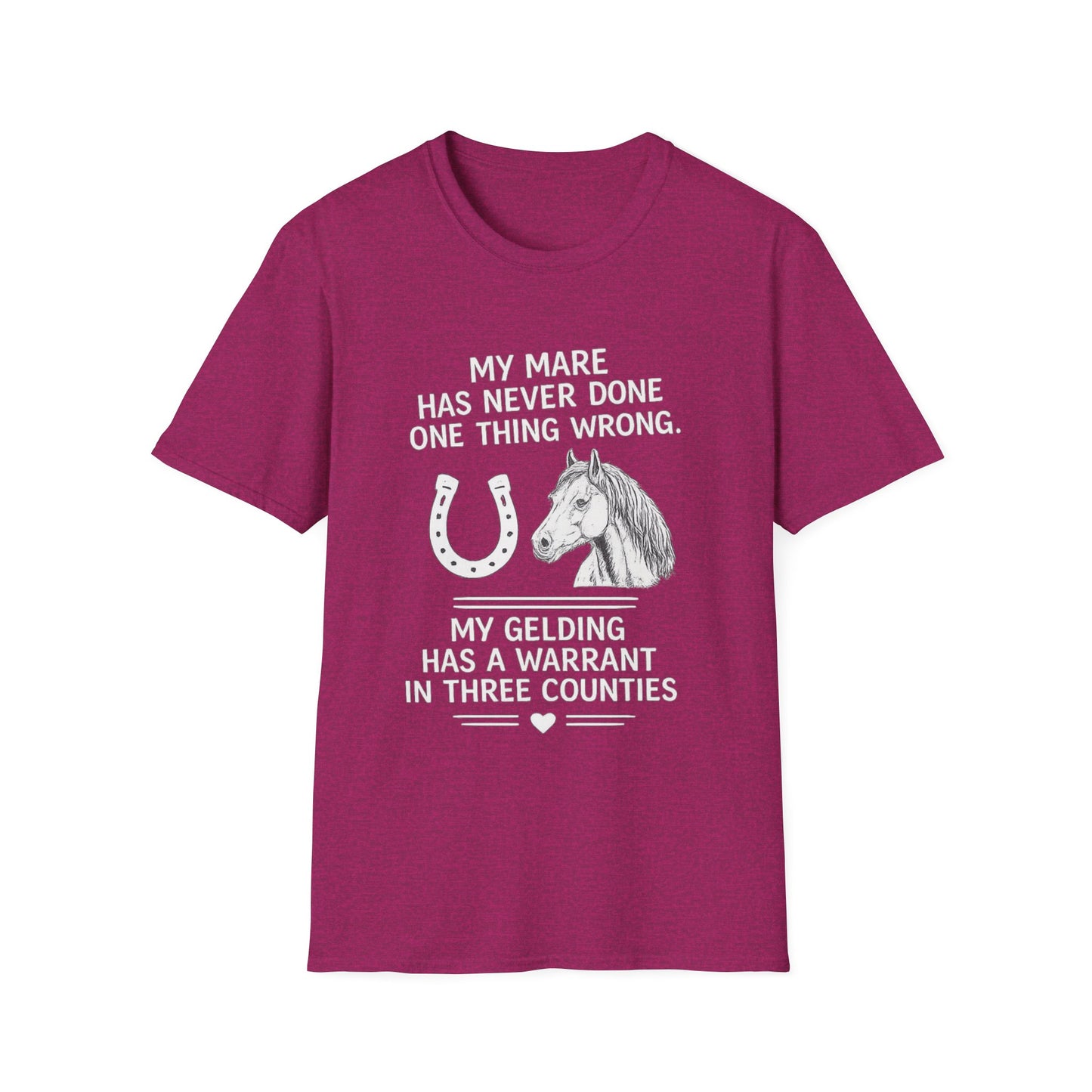 WeBeHorseGirls My Mare Has Never Done One Thing Wrong. My Gelding Has a Warrant in Three Counties T-Shirt