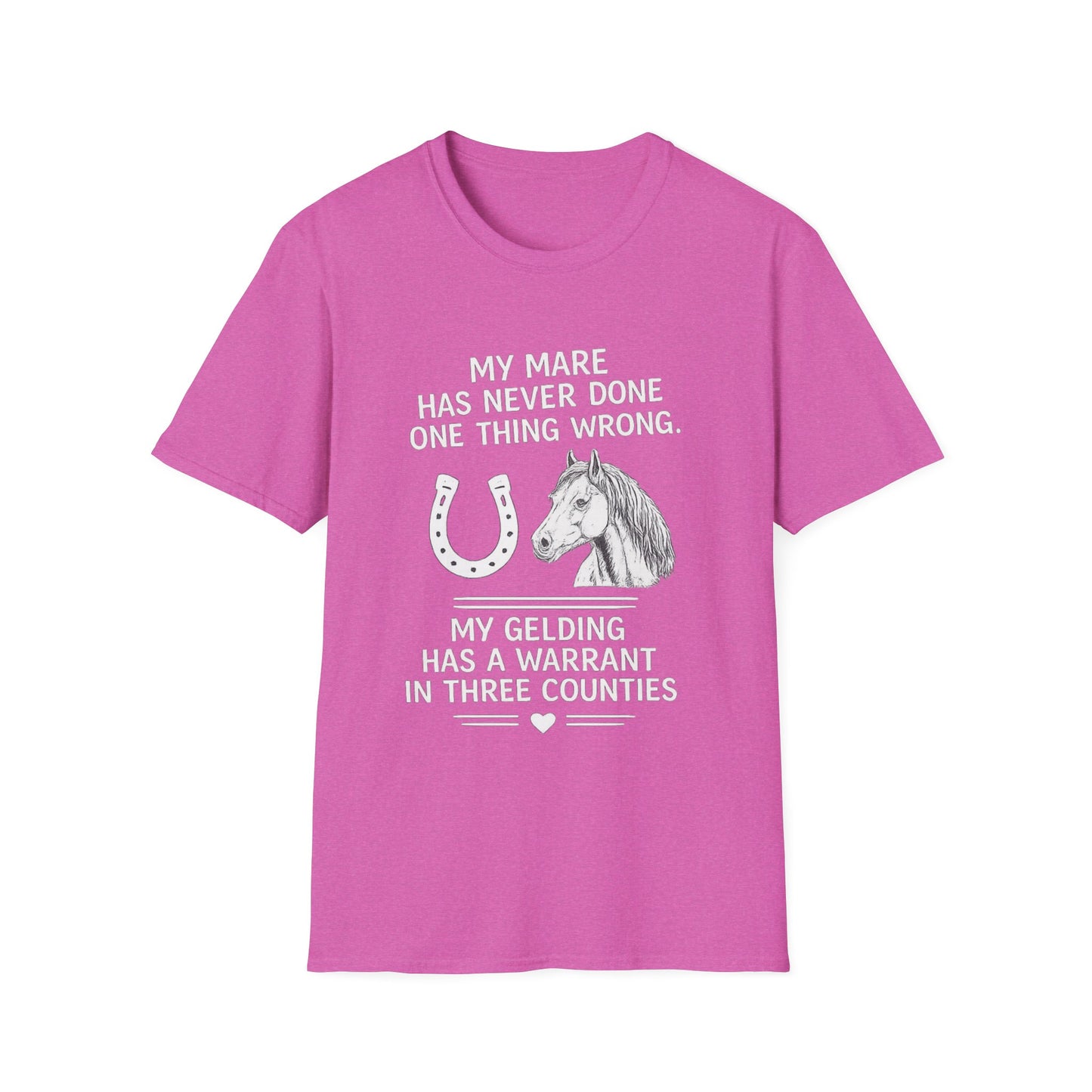 WeBeHorseGirls My Mare Has Never Done One Thing Wrong. My Gelding Has a Warrant in Three Counties T-Shirt